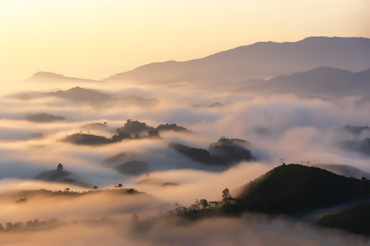 cloud, dawn, view, landscape, scenery, sky, vietnam, outdoors, travel, exploration, fog, foggy, misty, mist, travel, travel, nature, travel, travel, travel